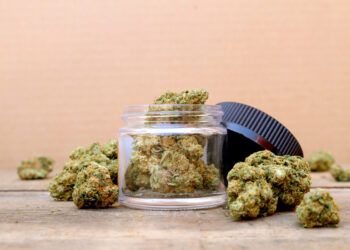 Illegal Cannabis Shop Owners Challenge Adams’ Crackdown on Unlicensed NYC Pot Stores