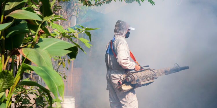 Rising Threat of Dengue Fever in the U.S. as Cases Increase Across States
