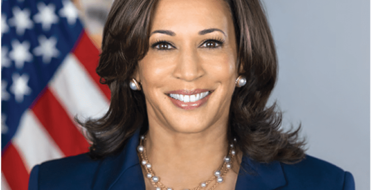 Kamala Harris Delivers Forceful Speech at DNC, Targeting Trump and Highlighting Patriotism