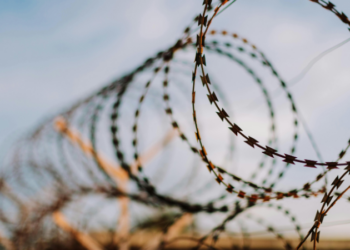 Federal Judge Blocks Trump Administration from Transferring Venezuelan Migrants to Guantanamo