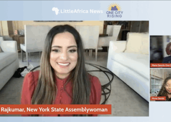 Jenifer Rajkumar Committed to Integrity and Common-Sense Leadership in Public Advocate Bid