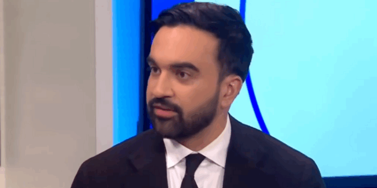 The Networks Behind Zohran Mamdani’s Political Rise