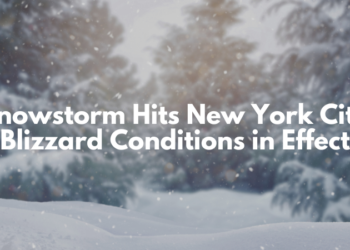 New York City Blizzard Causes Double-Digit Snowfall, Travel Ban, and Power Outages